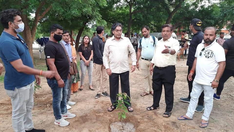TreePlantation