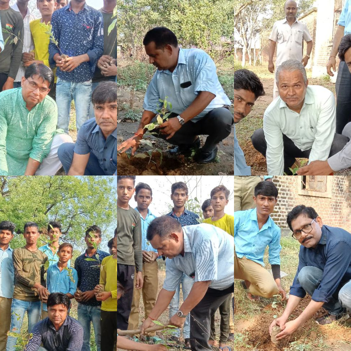 Tree Plantation